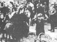 佛山万浤贸易有限公司