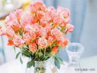 佛山万浤贸易有限公司