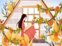 佛山万浤贸易有限公司