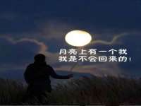 佛山万浤贸易有限公司