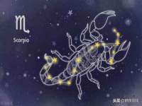 佛山万浤贸易有限公司
