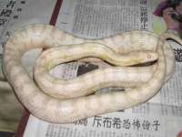 佛山万浤贸易有限公司