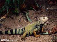 佛山万浤贸易有限公司