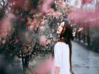 佛山万浤贸易有限公司