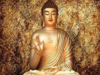 佛山万浤贸易有限公司